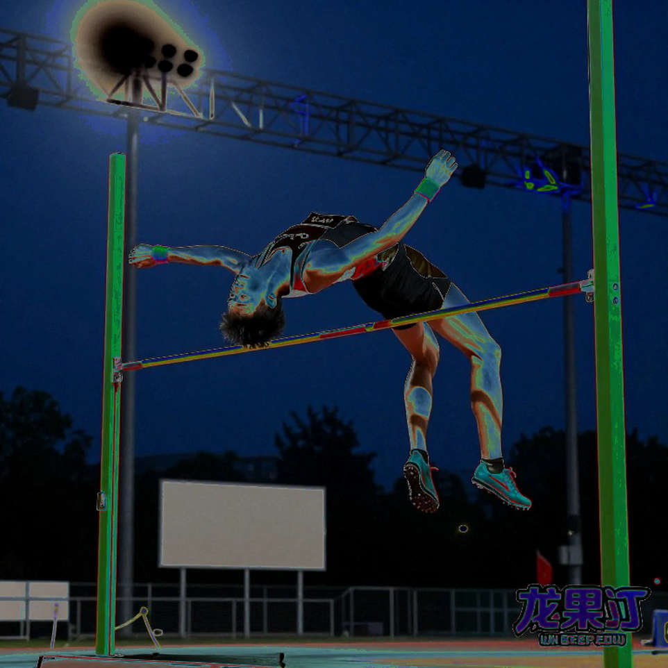 Four Records, Not a Single Number: Sri Lanka's Corporate Athletics Meet and the Lesson of Missing Data Four Records, Not a Single Number: Sri Lanka's Corporate Athletics Meet and the Lesson of Missing Data