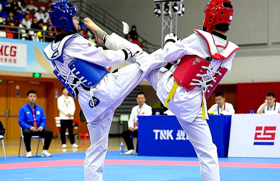 Referees, Replay and the Analytical Framework Trap: Why 'Martial Arts' Is Too Broad a Label to Score a Fight Referees, Replay and the Analytical Framework Trap: Why 'Martial Arts' Is Too Broad a Label to Score a Fight