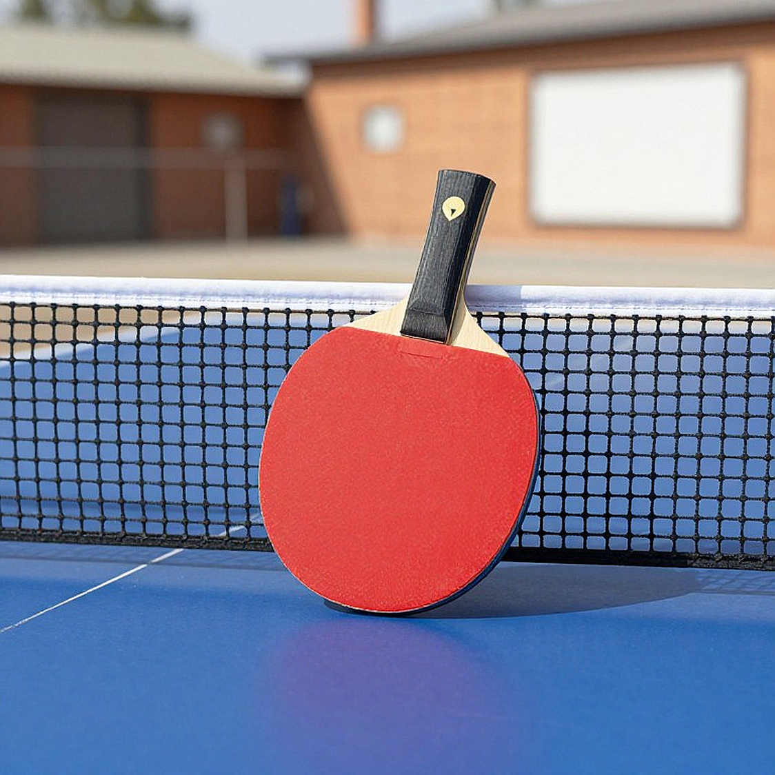 ITTF World Hopes Week ở Sheffield: Điều gì thực sự diễn ra trong một tuần không điểm, không thưởng ITTF World Hopes Week ở Sheffield: Điều gì thực sự diễn ra trong một tuần không điểm, không thưởng