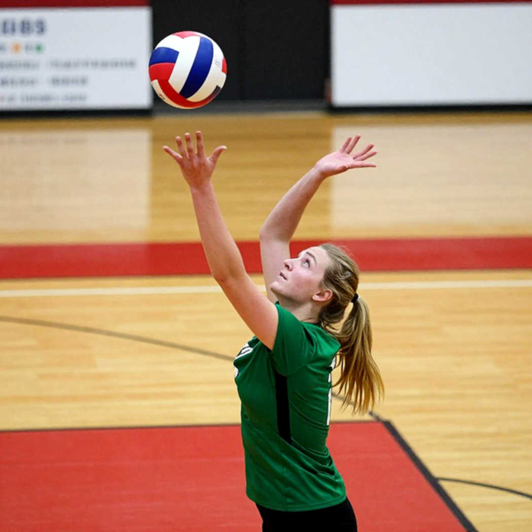 Pham Quynh Huong's Forty-Six Points: Real Data, Real Questions, and the China Threshold Pham Quynh Huong's Forty-Six Points: Real Data, Real Questions, and the China Threshold