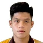 Duc Viet Nguyen